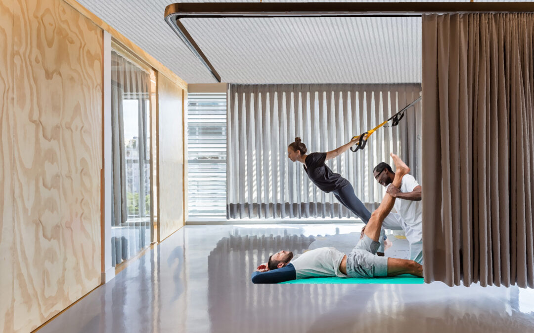 Maison Pluri Professionnelle ( Saint-Privat-La-Montagne)